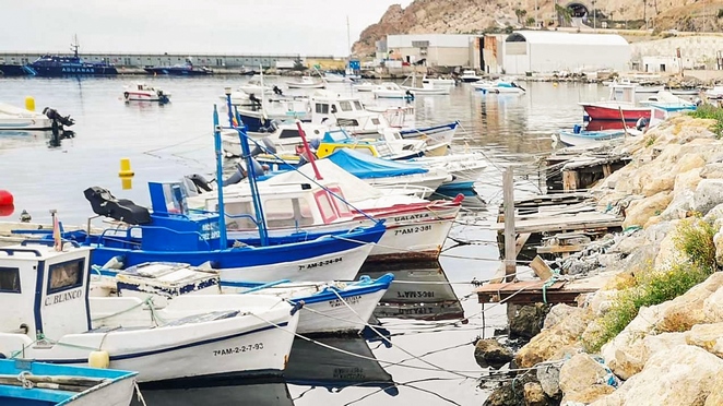 objetivo es recuperar las especies pesqueras que están en situación de sobreexplotación