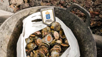 inspección pesquera