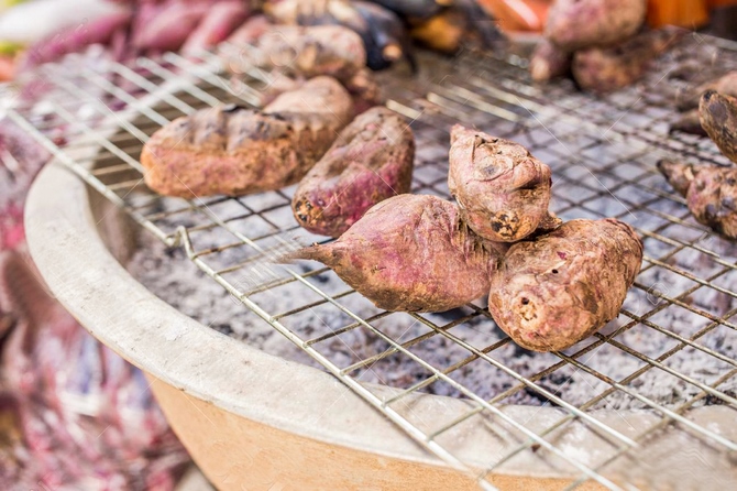 Montaña Yam Shitake