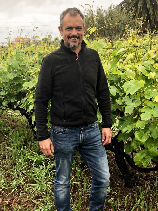 viticultura Canaria