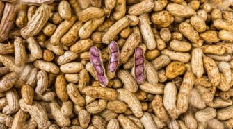 Salsa de maní tailandesa