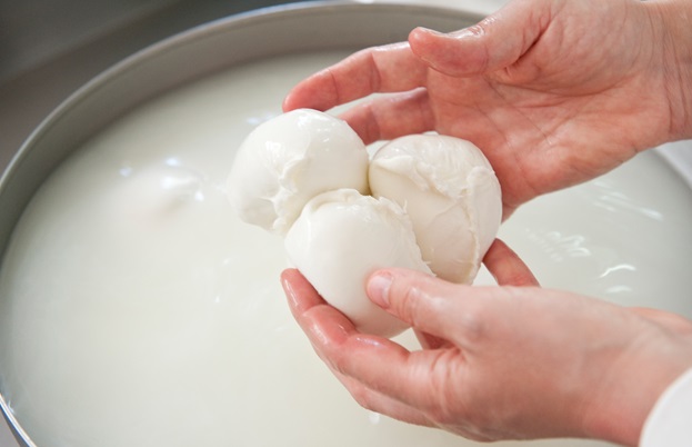 Mozzarella di bufala