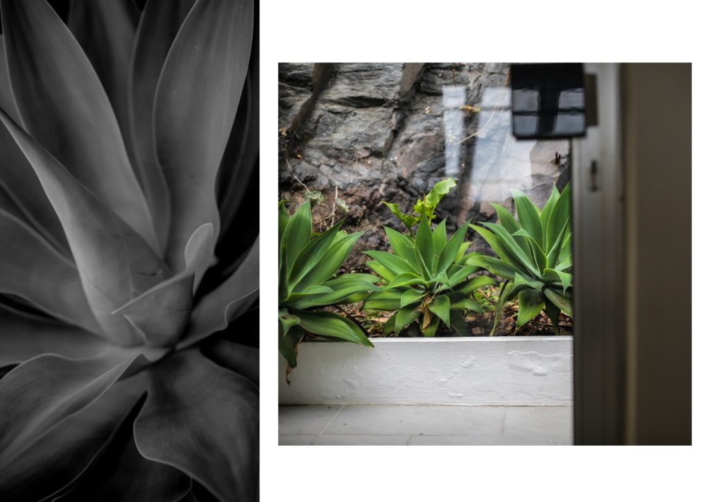 Traveller Review Awards