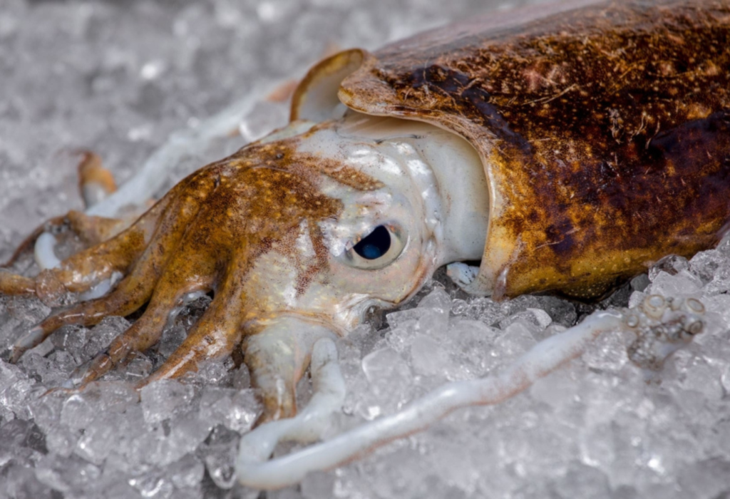 Restaurantes en España