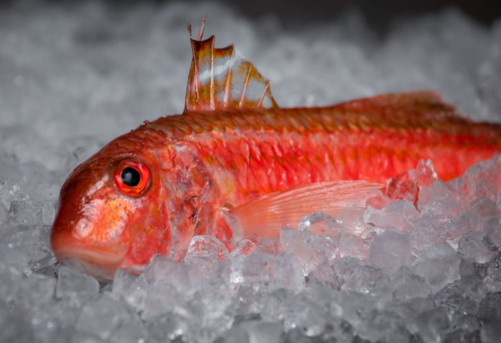 Restaurantes en España