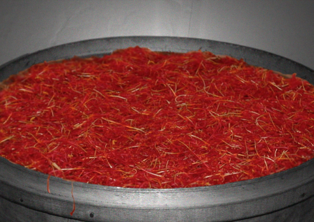 La revolución del Azafrán