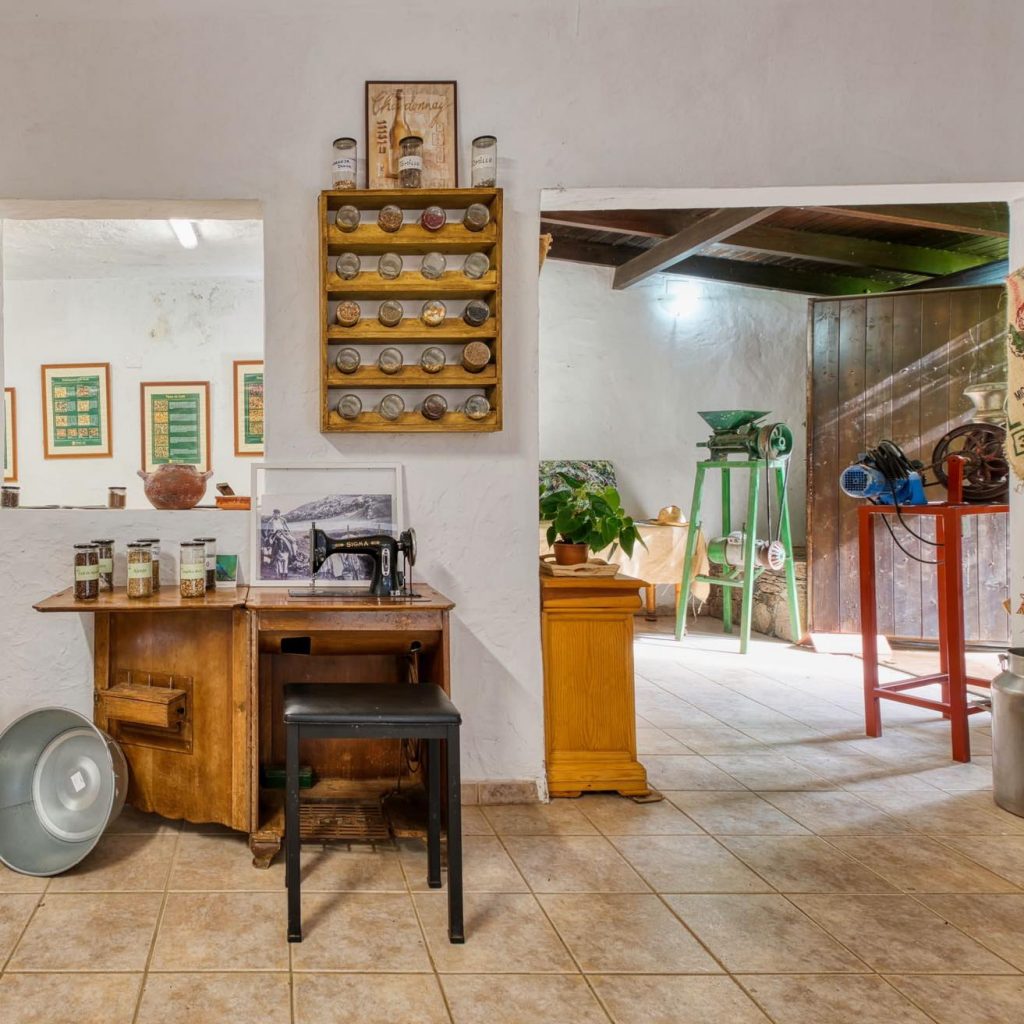 gastronomía canaria