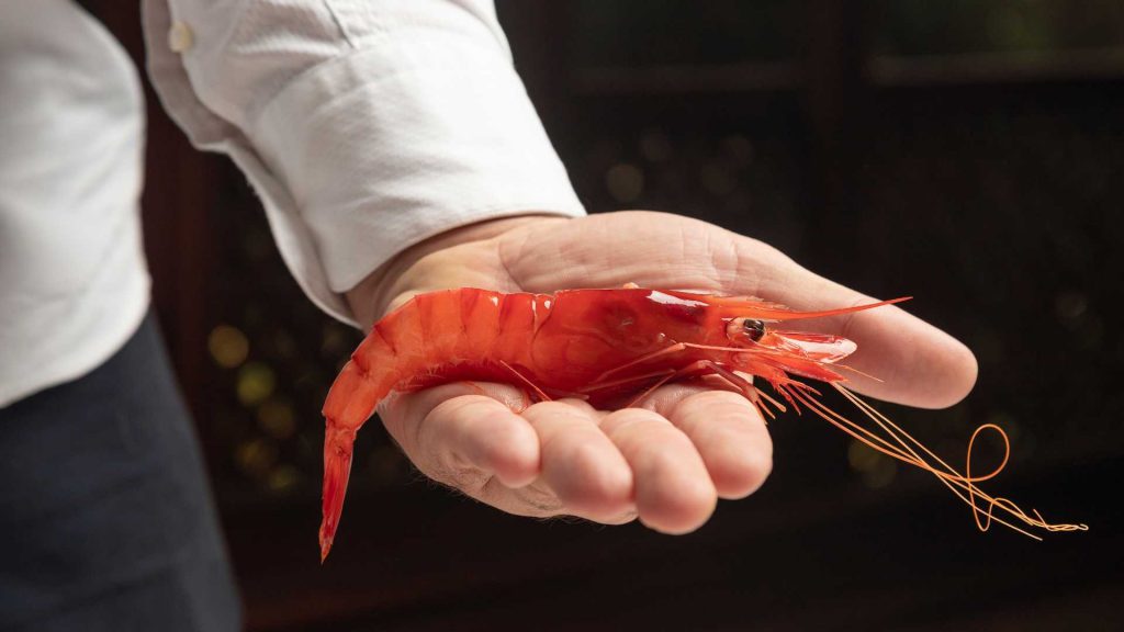 gamba roja de Dénia