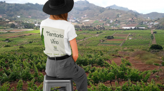 Territorio y Vino