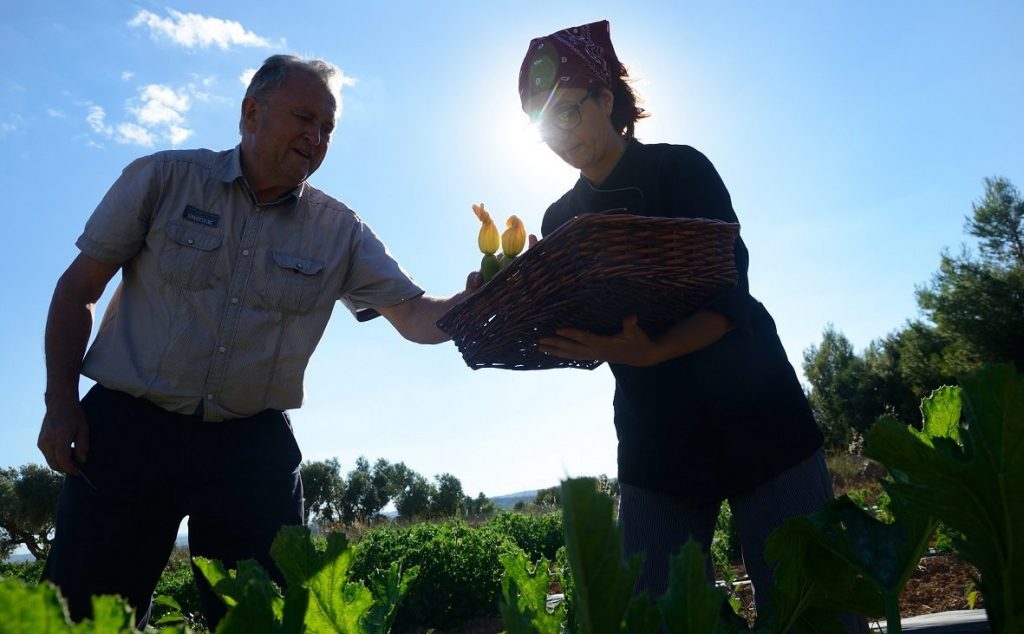 La Última Revolución