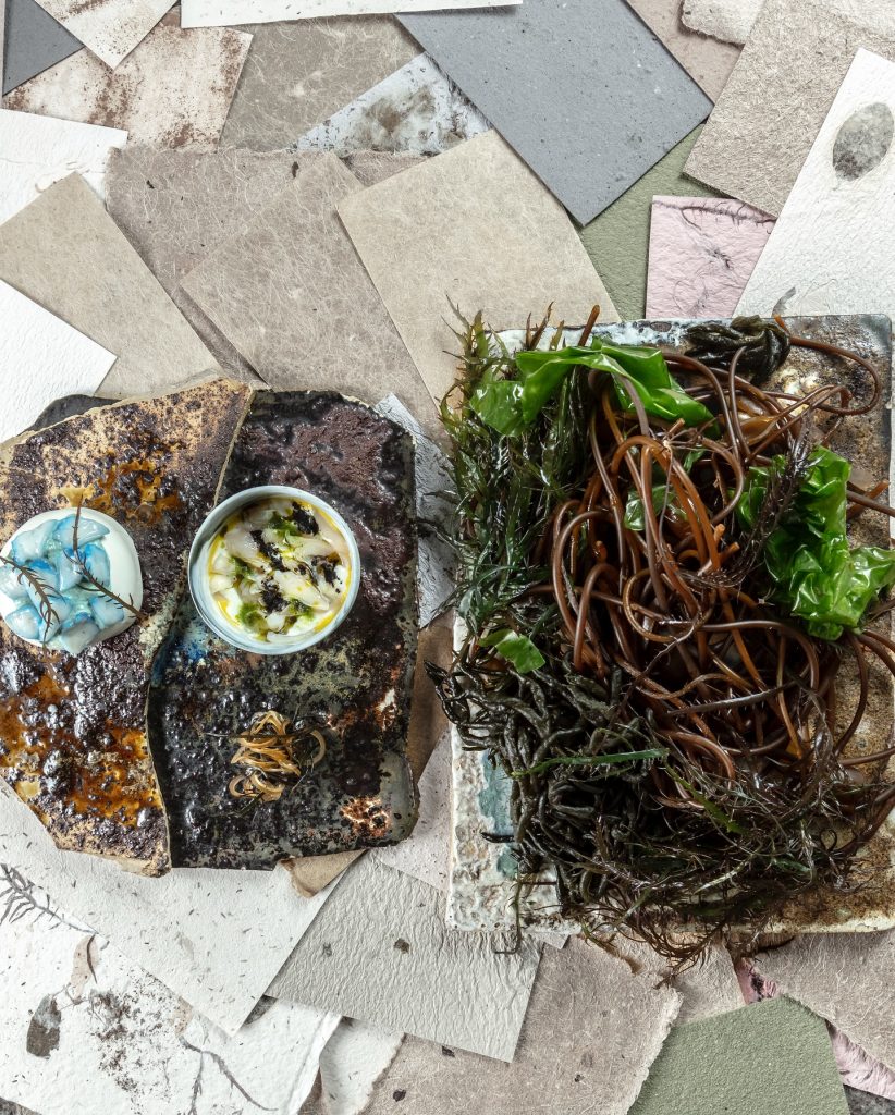 superalimentos marinos