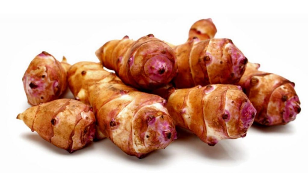 ingredientes nómadas