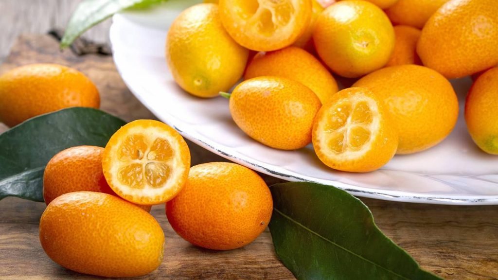 ingredientes nómadas