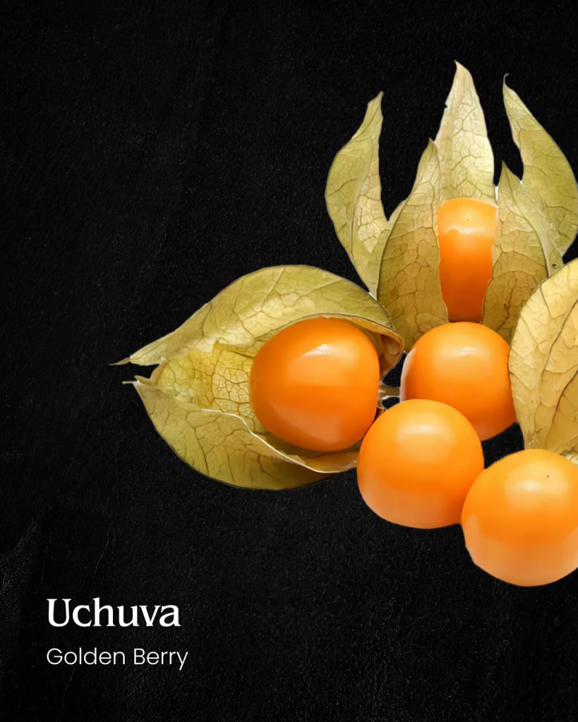 Laura Hernández Espinosa