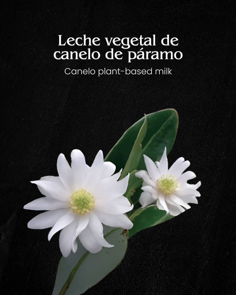 Laura Hernández Espinosa